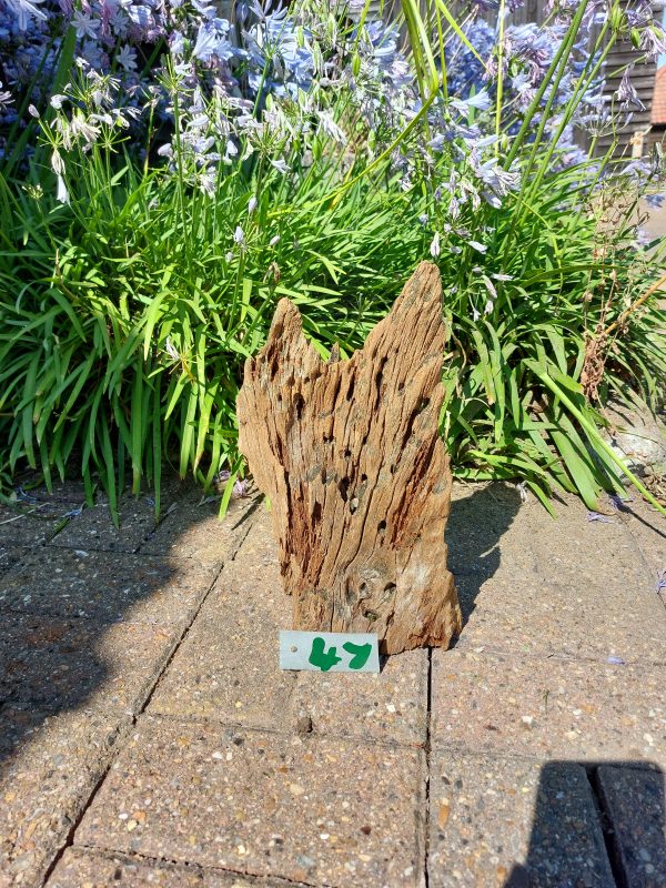 Driftwood Sculpture 47 - Image 1