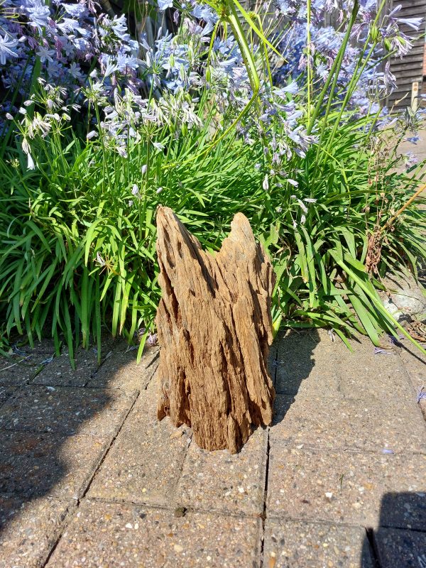 Driftwood Sculpture 47 - Image 2