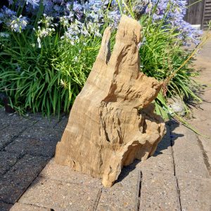 Driftwood Sculpture 59 with Free Shipping - Image 2
