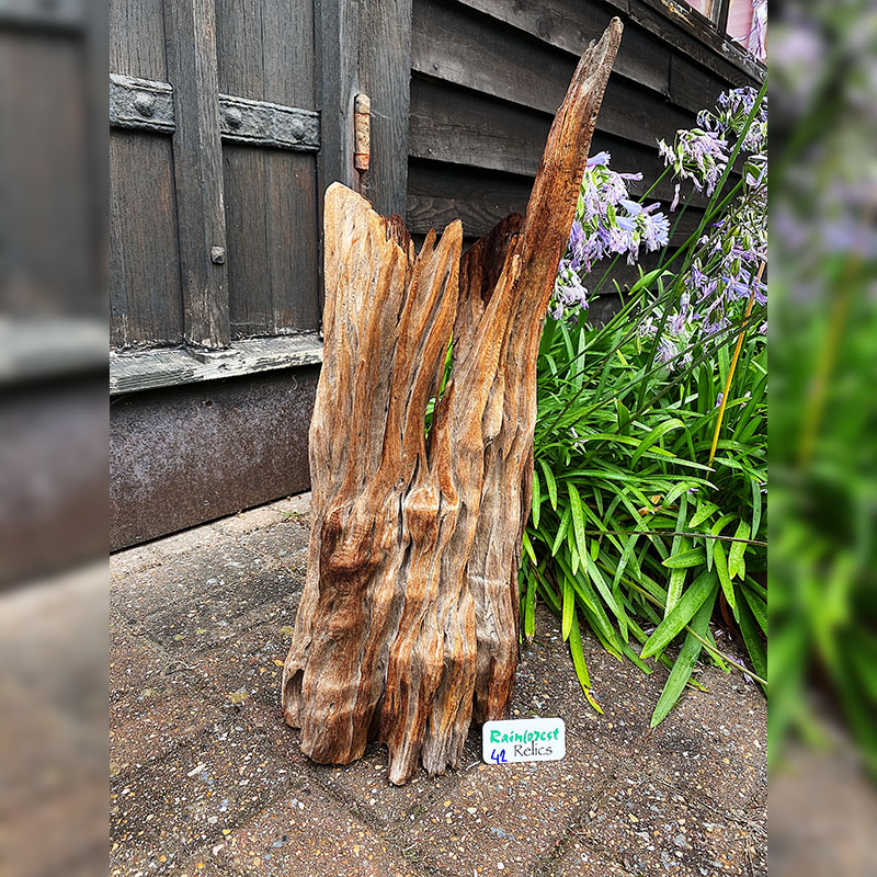 UT1m-42 Driftwood Sculpture 42 with Free Shipping - Image 1