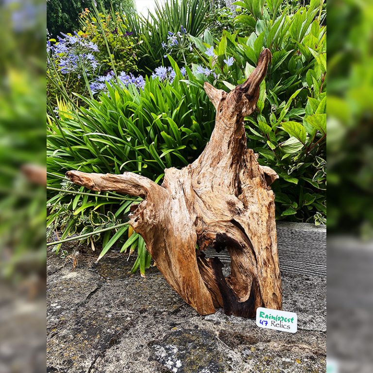 Driftwood Sculpture 47 and S5 with Free Shipping (D Parker