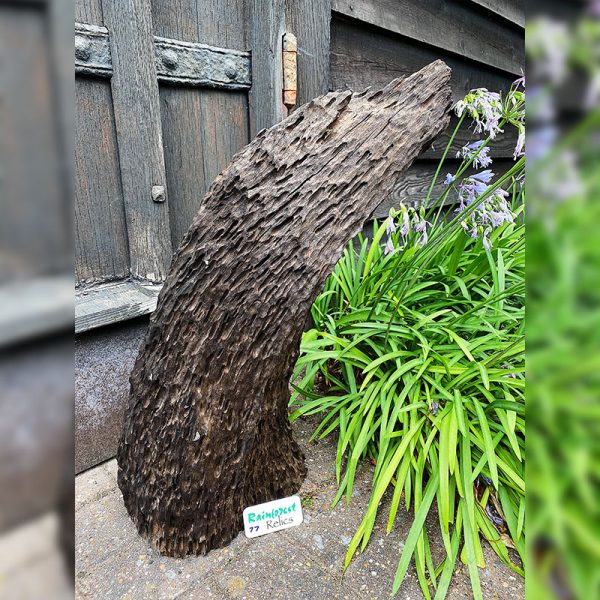 Driftwood Sculpture 77 with Free Shipping - Image 1