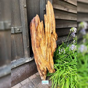 Driftwood Sculpture 85 with Free Shipping