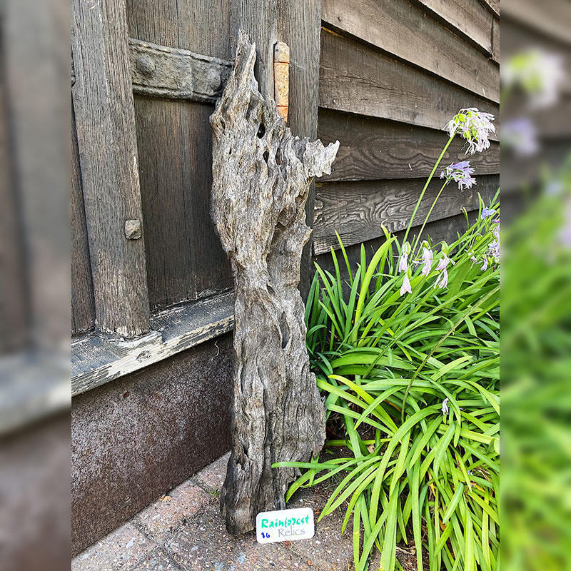 UT1m-86 Driftwood Sculpture 86 with Free Shipping - Image 1