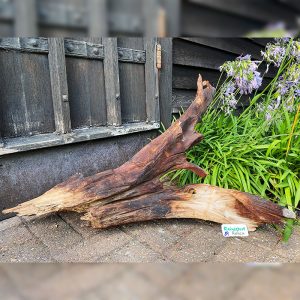 Driftwood Sculpture 89 with Free Shipping