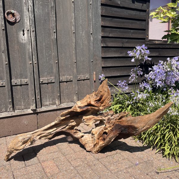 Driftwood Sculpture 124 - Image 2