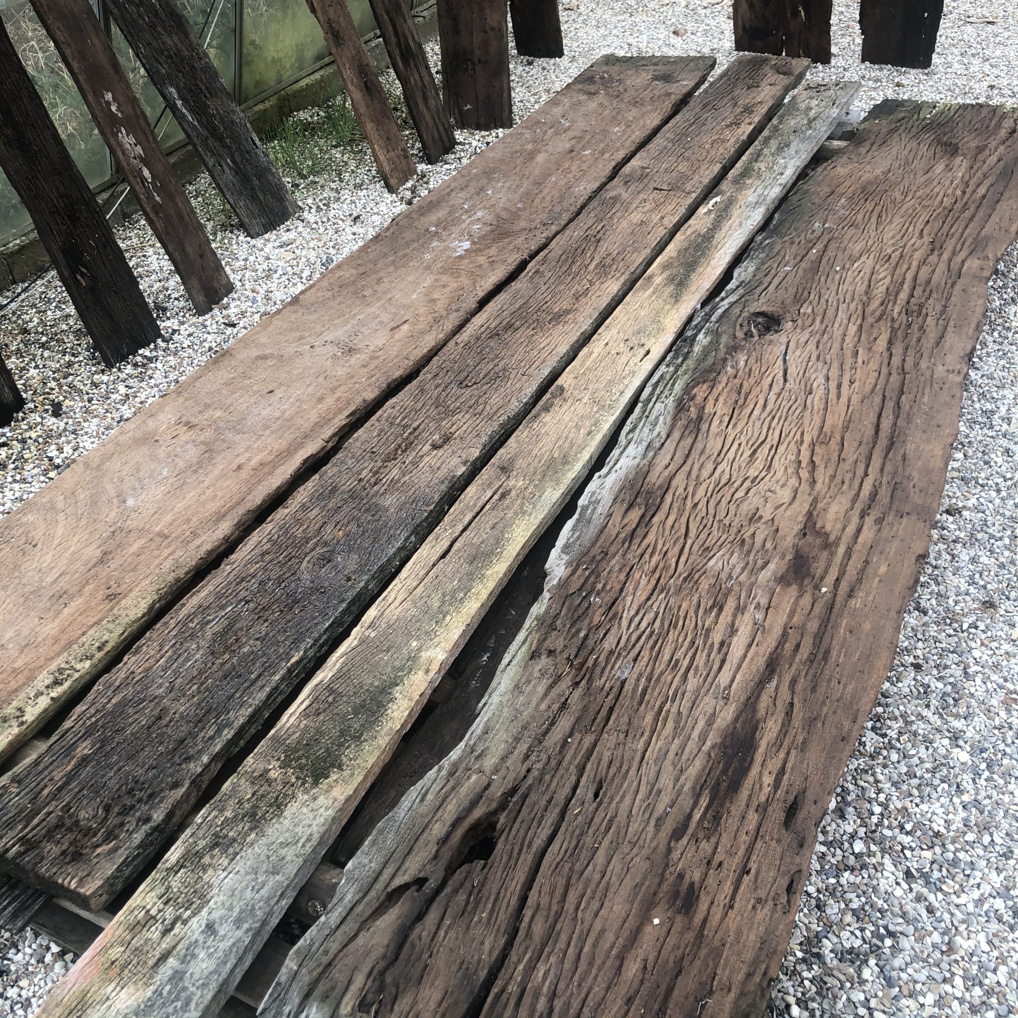 Driftwood Planks Rainforest Relics