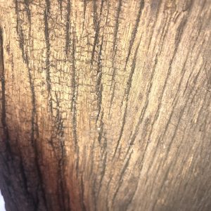 Driftwood Planks - Image 4