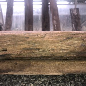 Driftwood Planks - Image 5