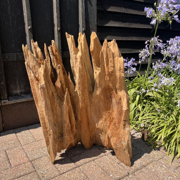 Driftwood Sculpture 142 with Free Shipping - Image 2