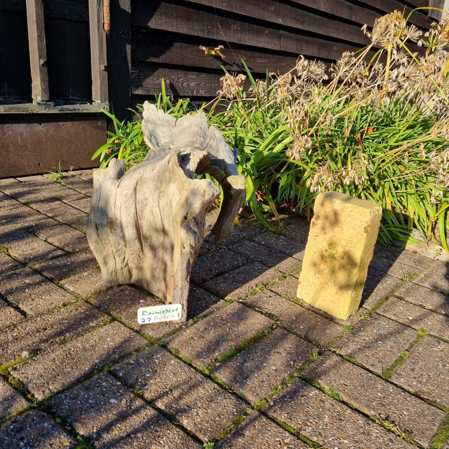 Driftwood Sculpture 23 with Free Shipping Rainforest Relics