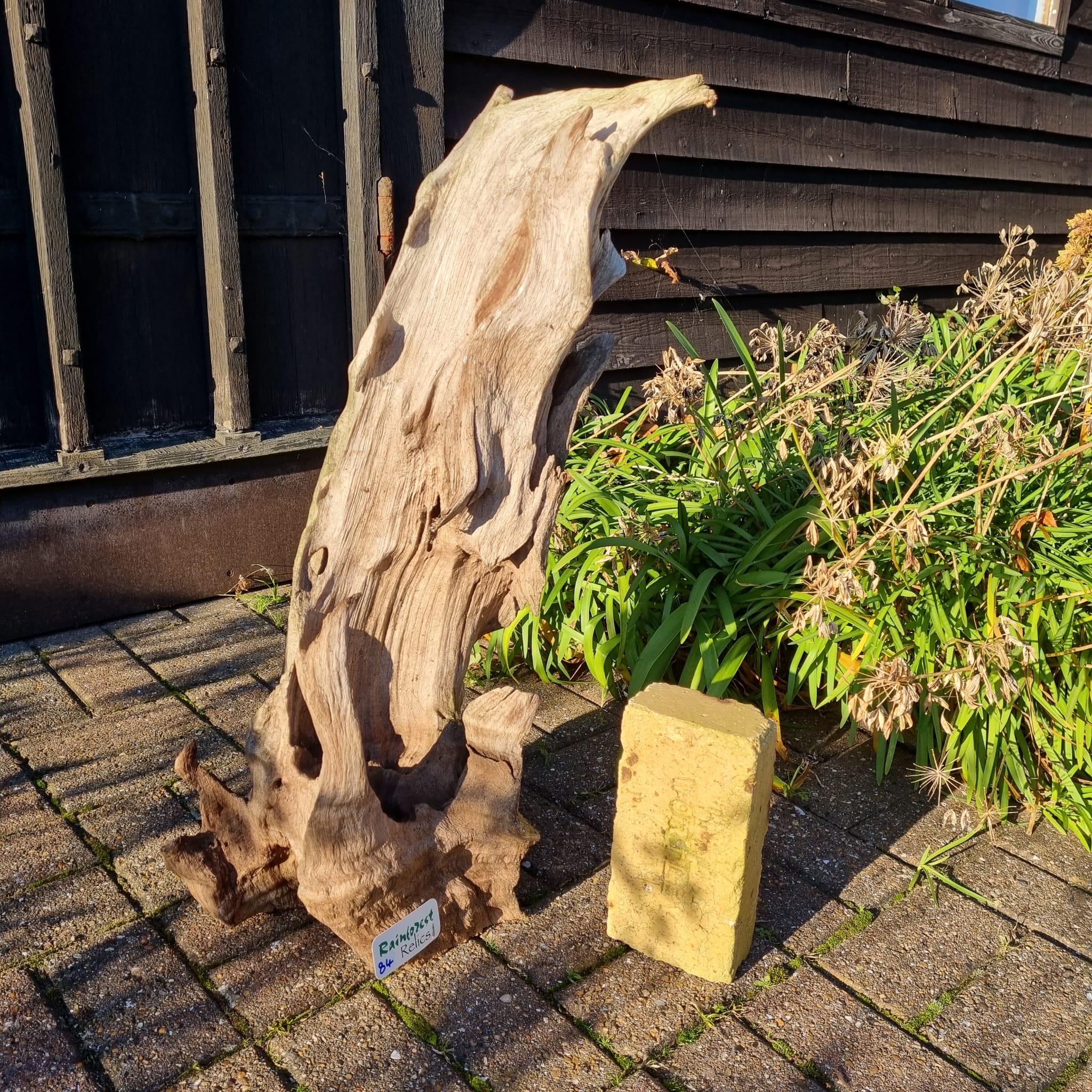 84 291121 Driftwood Sculpture 84 with Free Shipping - Image 1