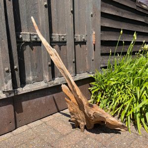 Driftwood Sculpture 18 with Free Shipping - Image 3
