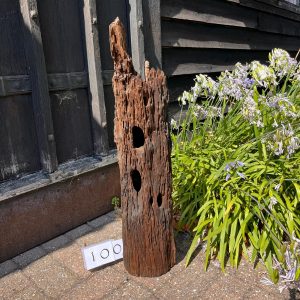 Driftwood Sculpture 100 with Free Shipping