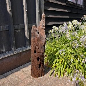 Driftwood Sculpture 100 with Free Shipping - Image 2