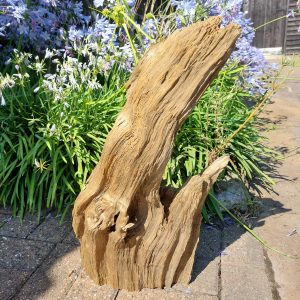 Driftwood Sculpture 61 with Free Shipping - Image 2