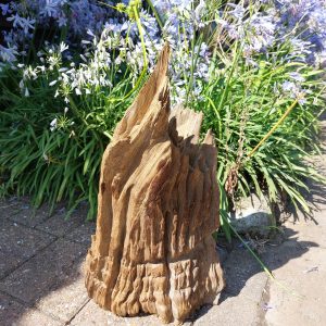 Driftwood Sculpture 63 with Free Shipping - Image 2