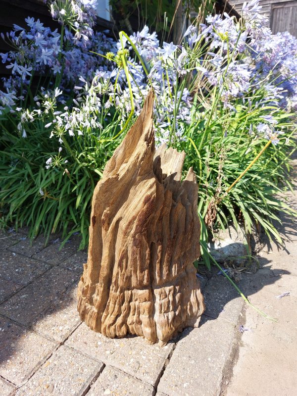 Driftwood Sculpture 63 with Free Shipping - Image 2