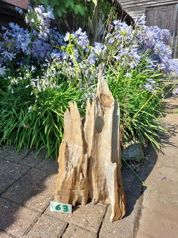 Driftwood Sculpture 63 with Free Shipping - Image 1