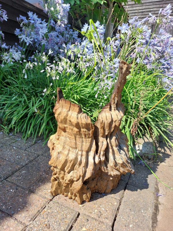 Driftwood Sculpture 74 with Free Shipping - Image 2