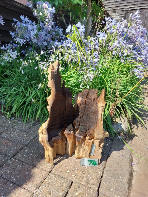 Driftwood Sculpture 74 with Free Shipping - Image 1