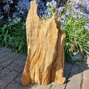 Driftwood Sculpture 79 with Free Shipping - Image 2