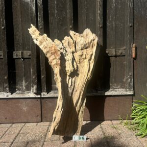 Driftwood Sculpture 35 with Free Shipping