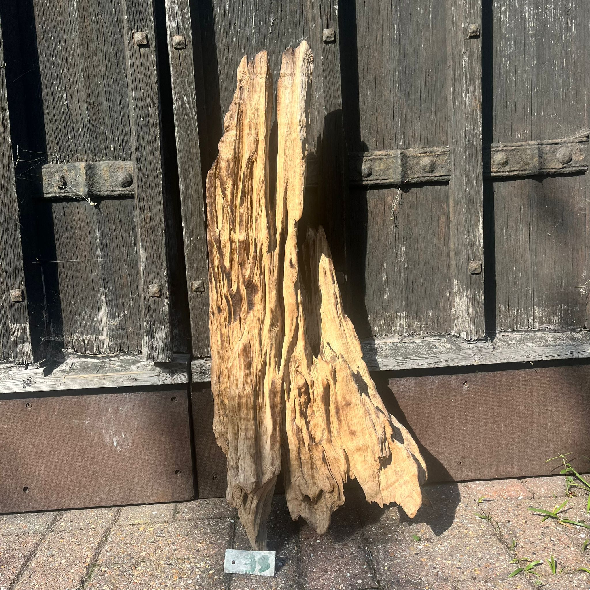 no 38 Driftwood Sculpture 38 with Free Shipping - Image 1