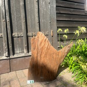 Driftwood Sculpture 45 with Free Shipping - Image 2