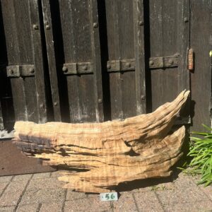 Driftwood Sculpture 56 with Free Shipping