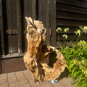 Driftwood Sculptures for garden and interior by Rainforest Relics 4 no 74