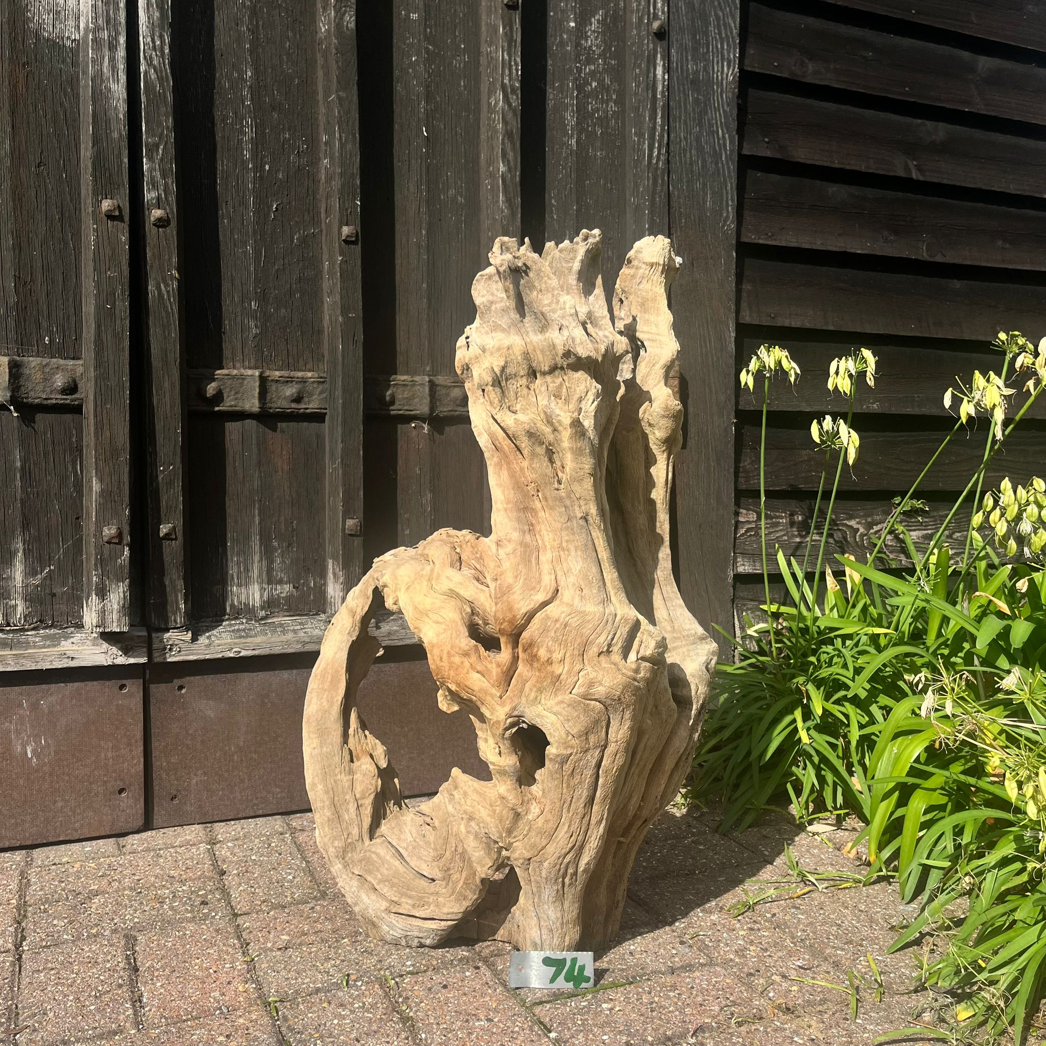 Driftwood Sculptures for garden and interior by Rainforest Relics 5 no 74a