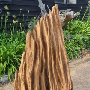 Driftwood Sculpture 180 with Free Shipping