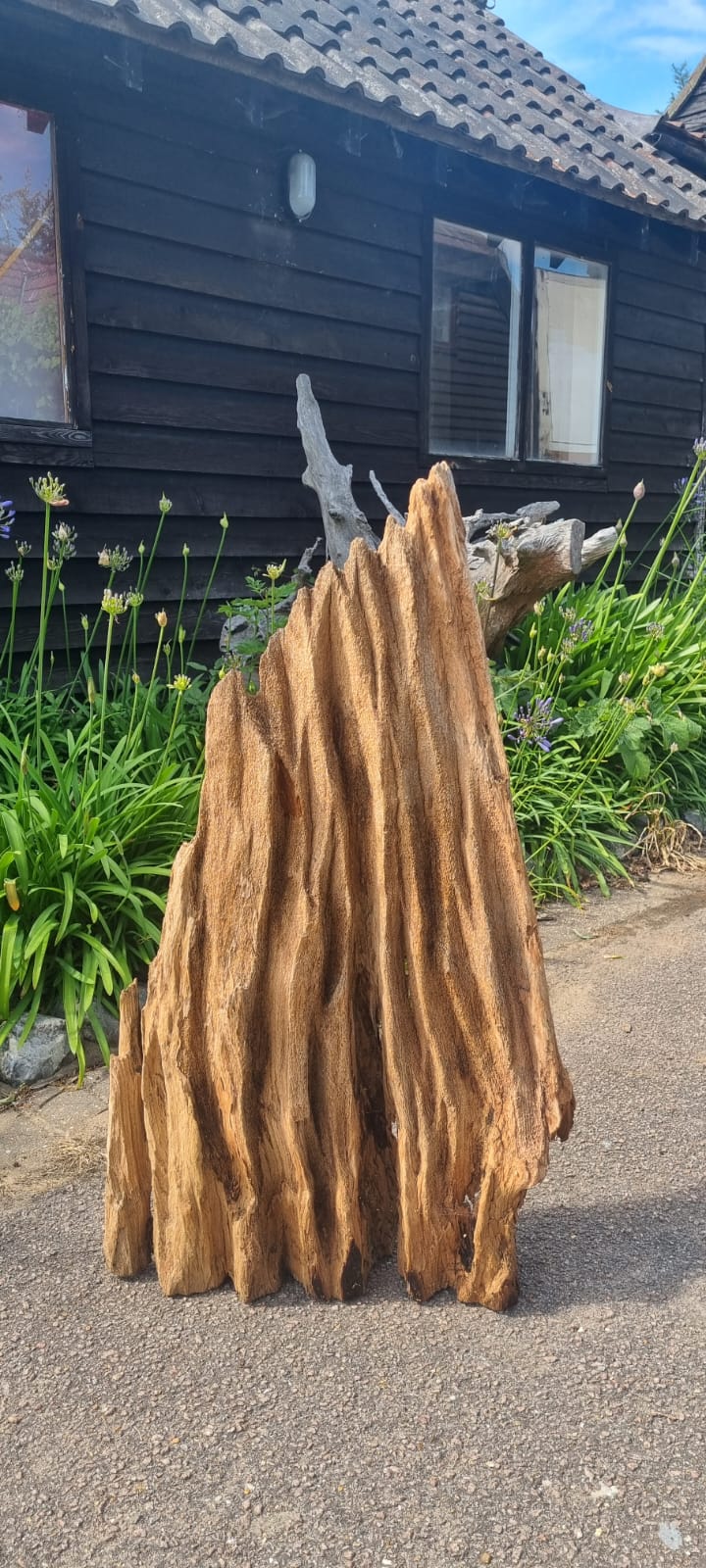 180 Driftwood Sculpture 180 with Free Shipping - Image 1