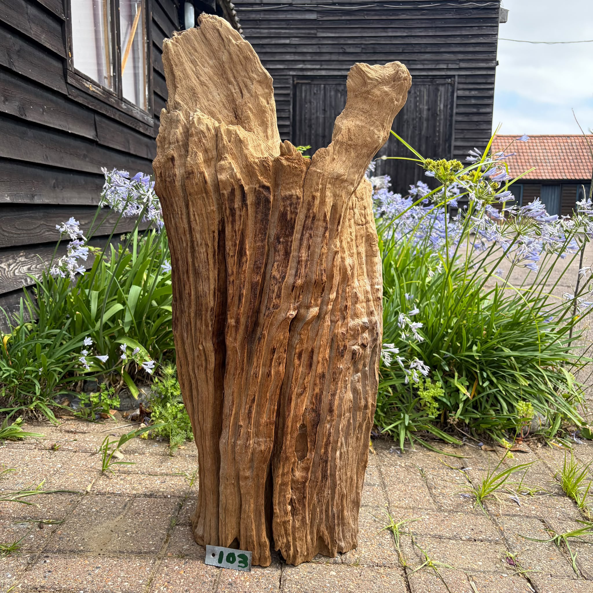 103 Driftwood Sculpture 103 with Free Shipping - Image 1