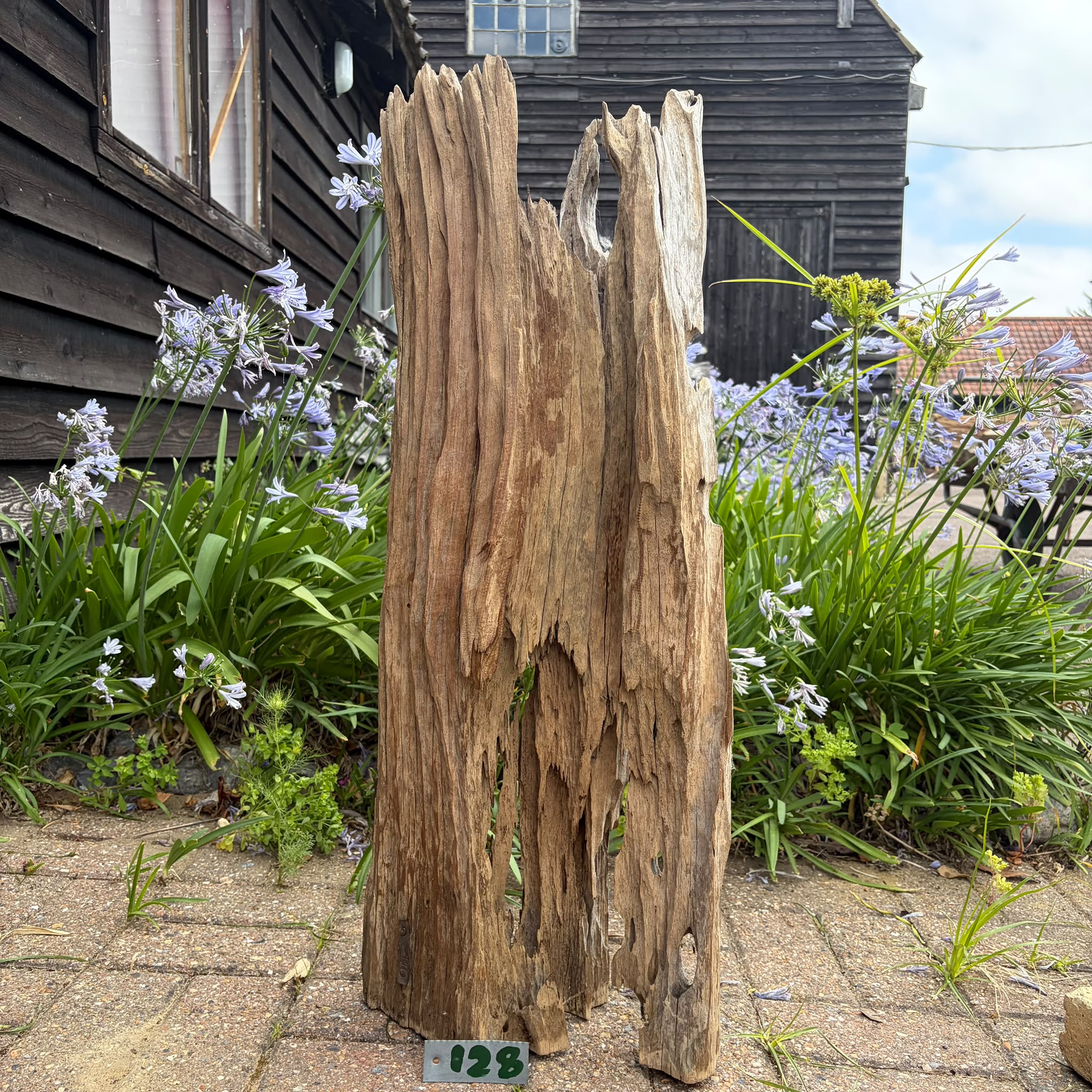 128 Driftwood Sculpture 128 with Free Shipping - Image 1
