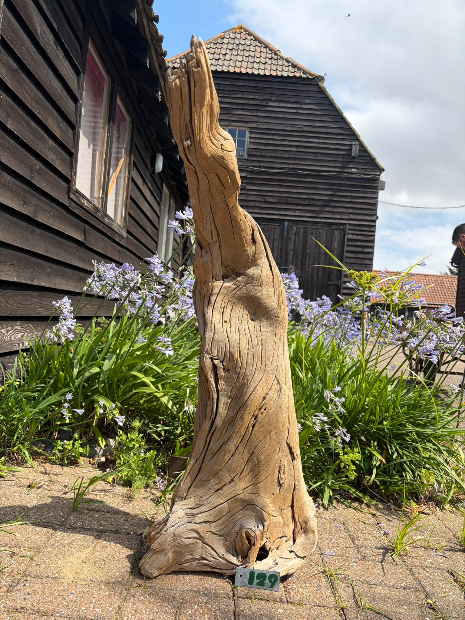 129 Driftwood Sculpture 129 with Free Shipping - Image 1