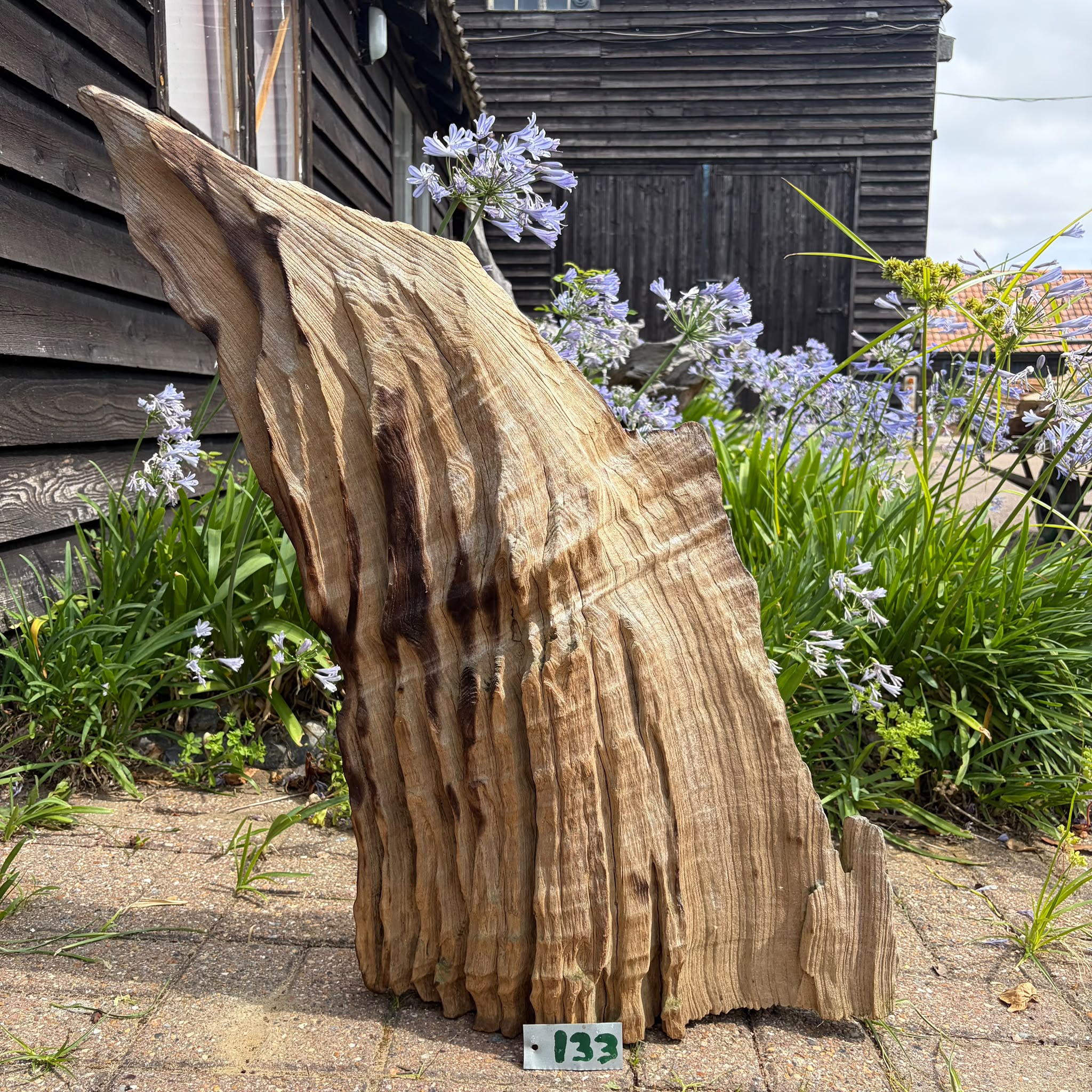 133 Driftwood Sculpture 133 with Free Shipping - Image 1