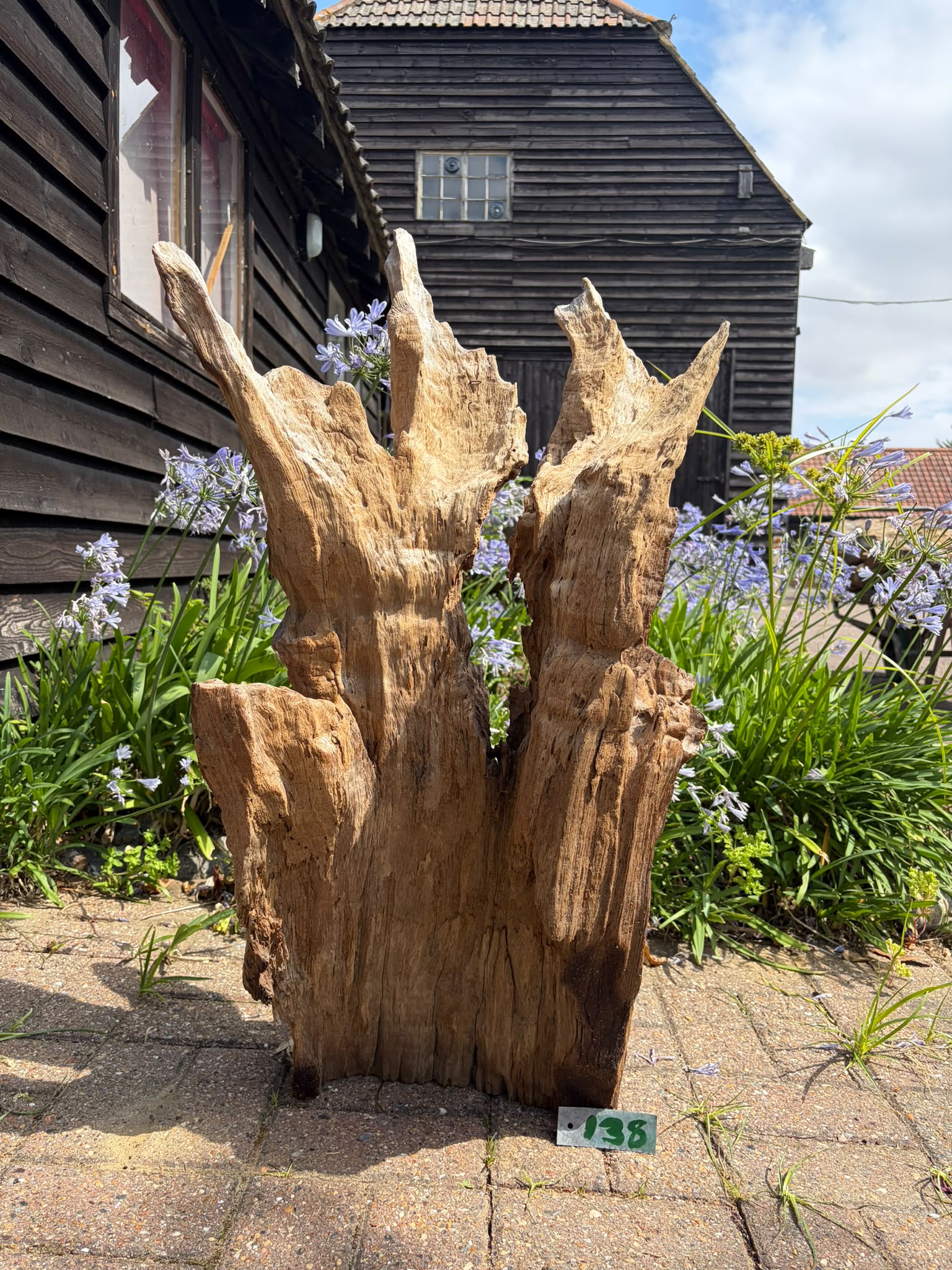 138 Driftwood Sculpture 138 with Free Shipping - Image 1
