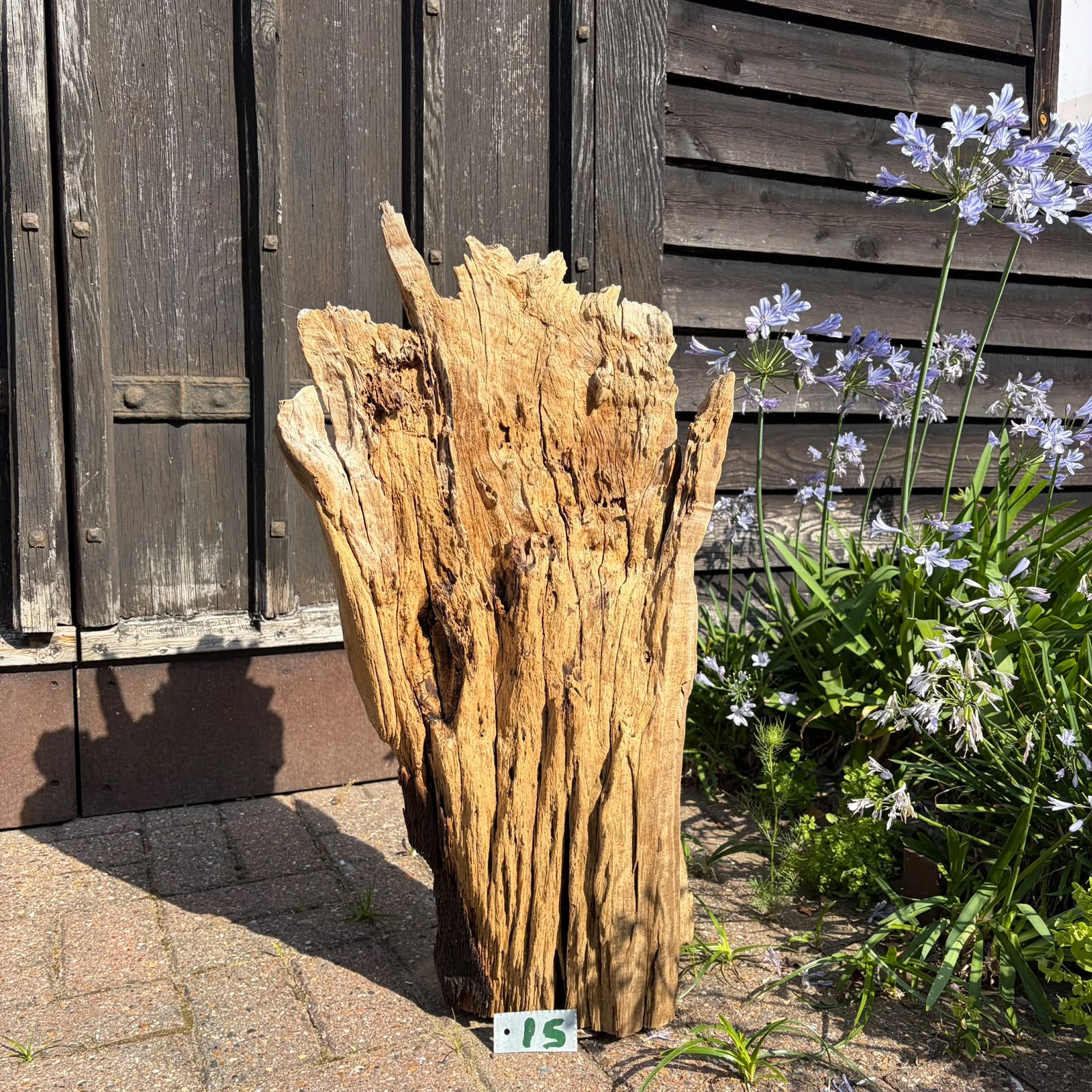 15a Driftwood Sculpture 15 with Free Shipping - Image 1