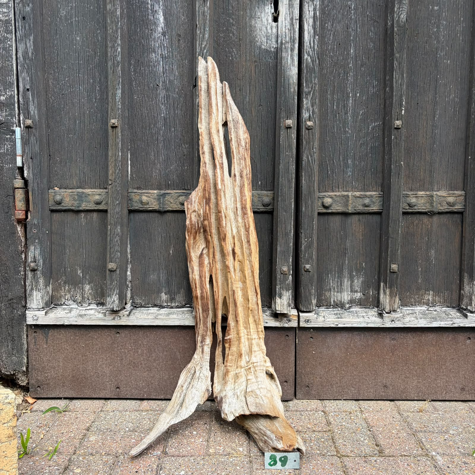 39 Driftwood Sculpture 39 with Free Shipping - Image 1