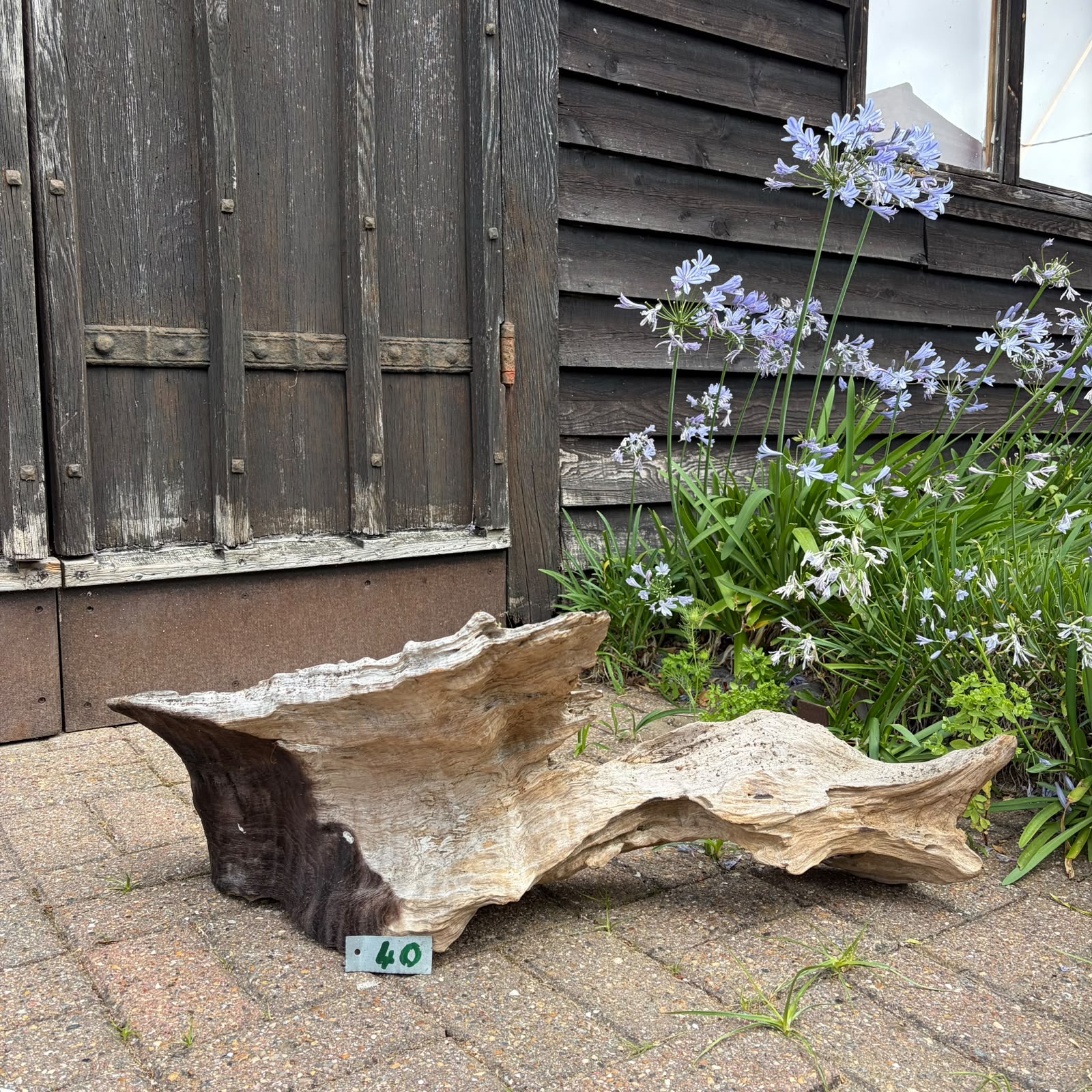 40 Driftwood Sculpture 40 with Free Shipping - Image 1