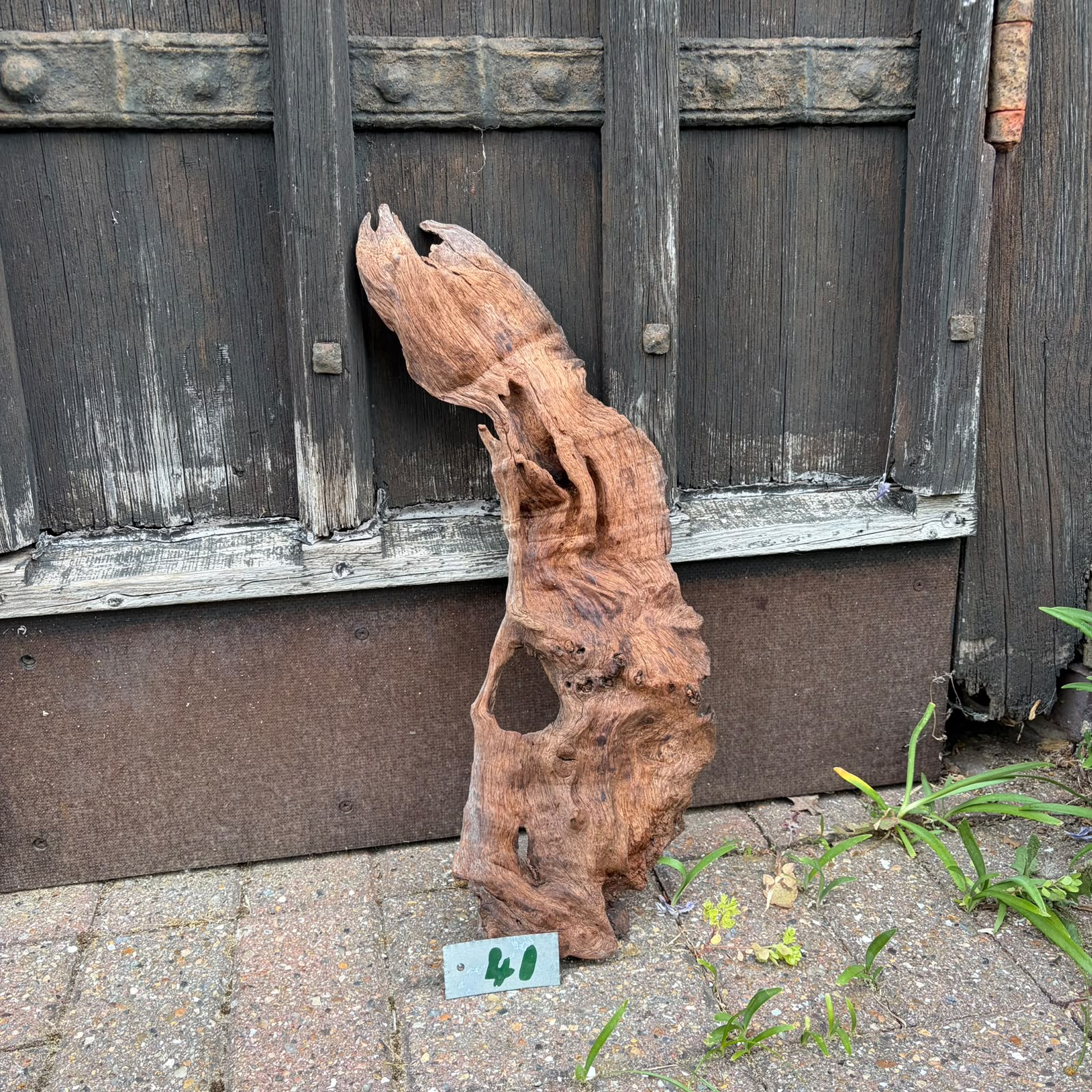 41 Driftwood Sculpture 41 with Free Shipping - Image 1