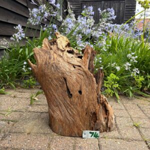 Driftwood Sculpture 74 with Free Shipping - Image 2