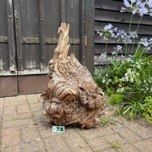 Driftwood Sculpture 78 with Free Shipping