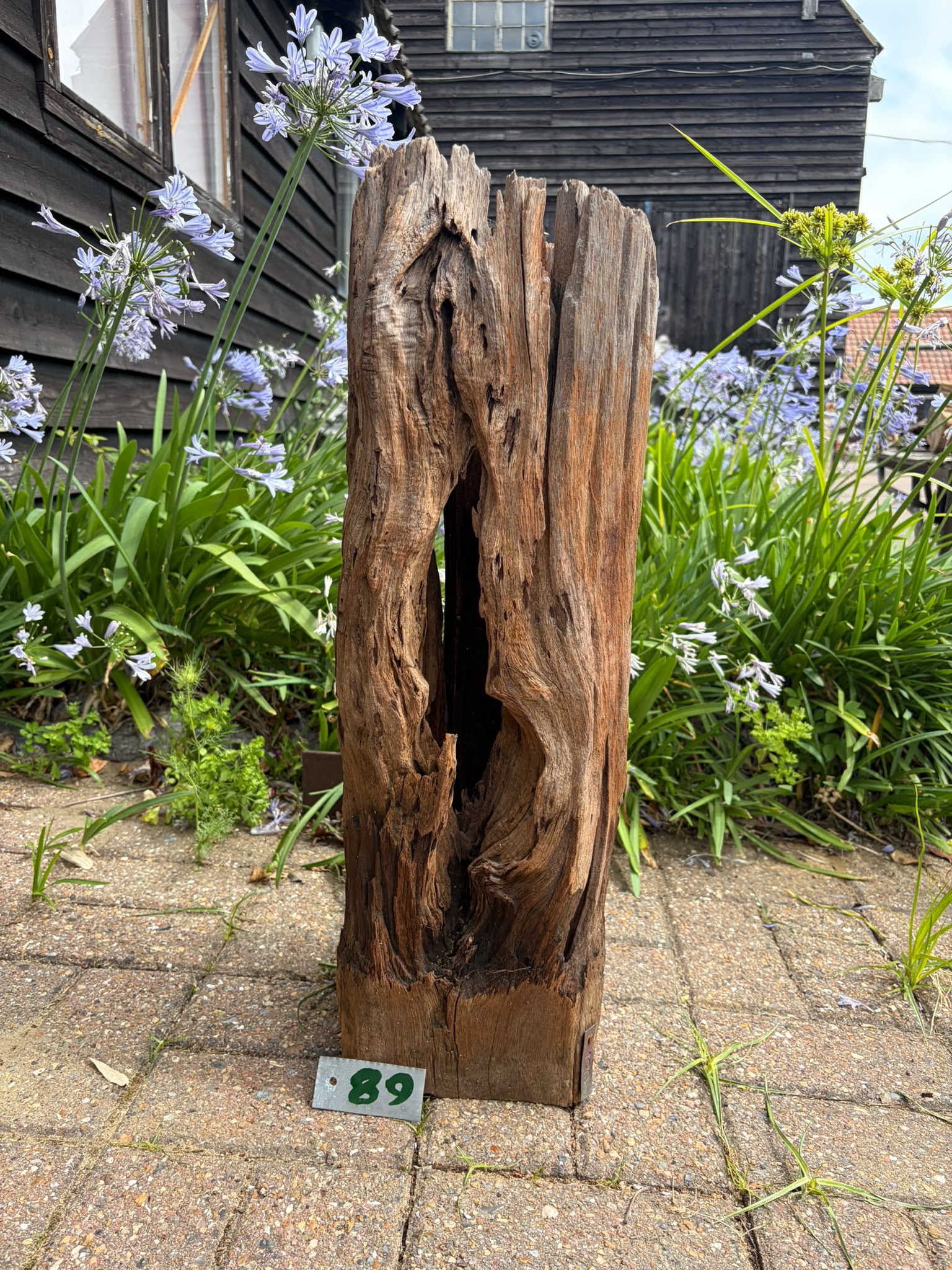 89 Driftwood Sculpture 89 with Free Shipping - Image 1