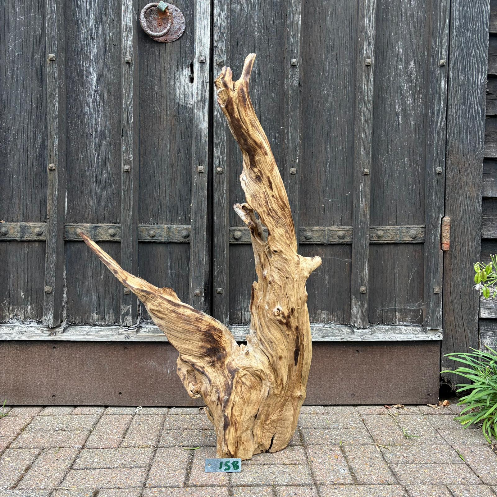 158 Driftwood Sculpture 158 with Free Shipping - Image 1