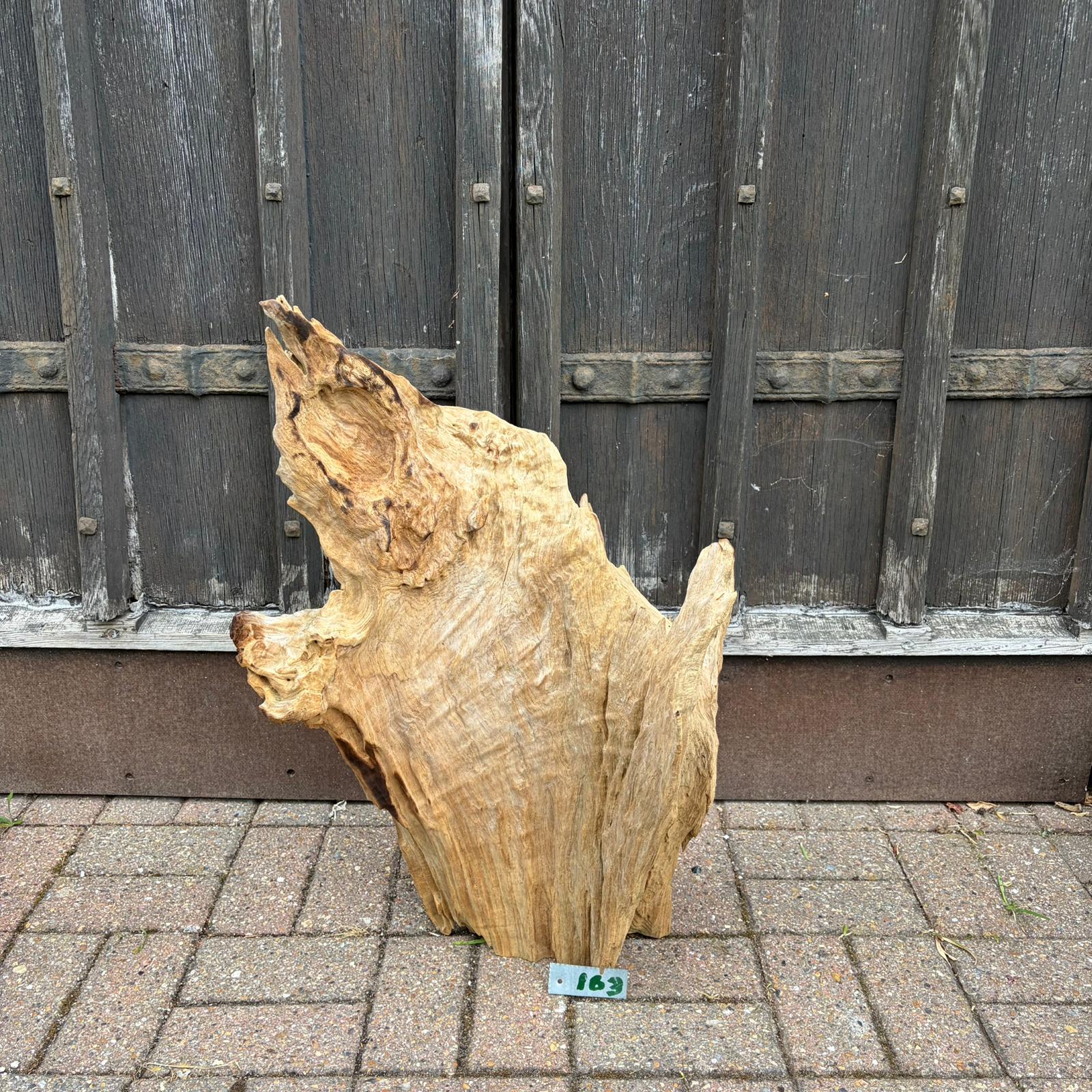 163 Driftwood Sculpture 163 with Free Shipping - Image 1
