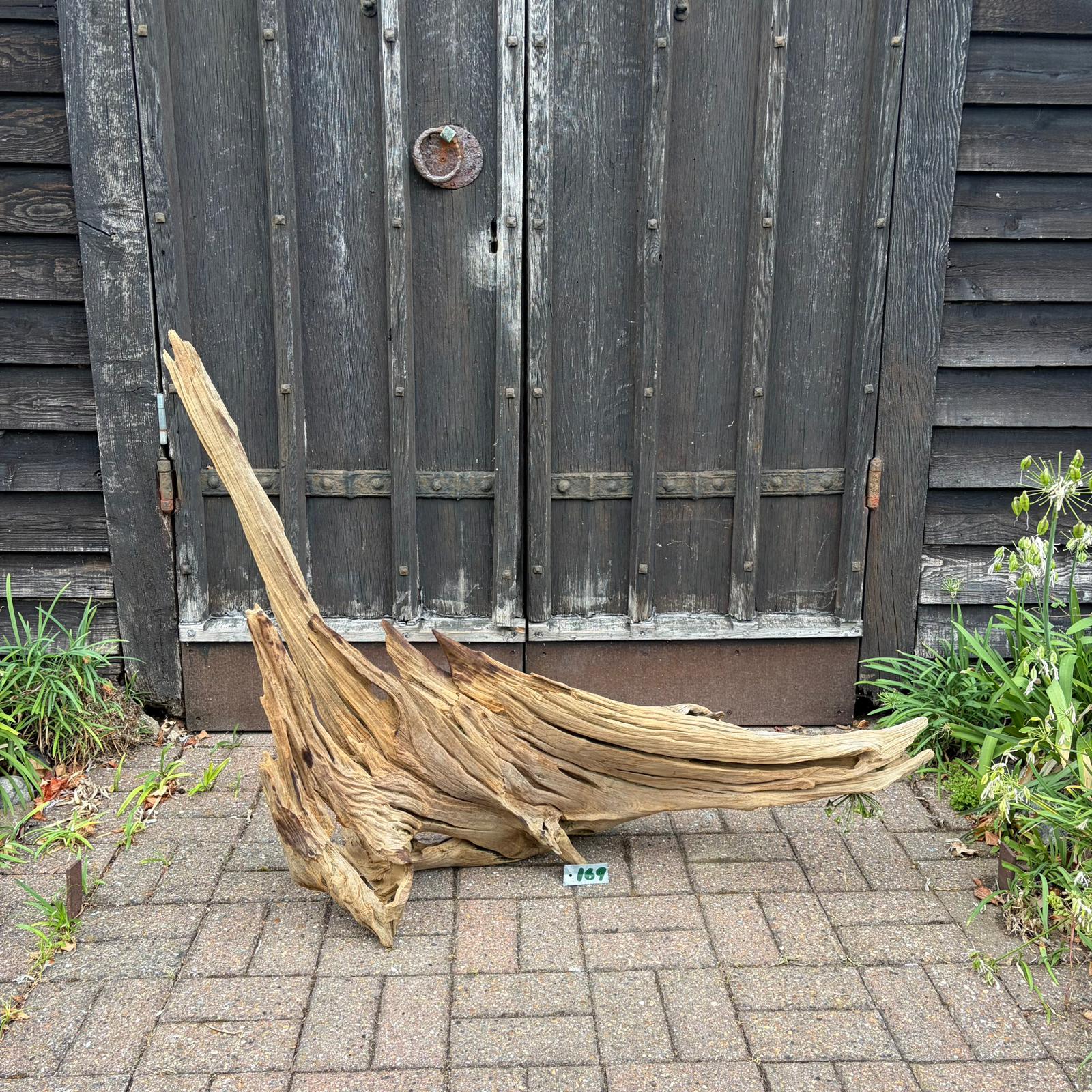 169 Driftwood Sculpture 169 with Free Shipping - Image 1