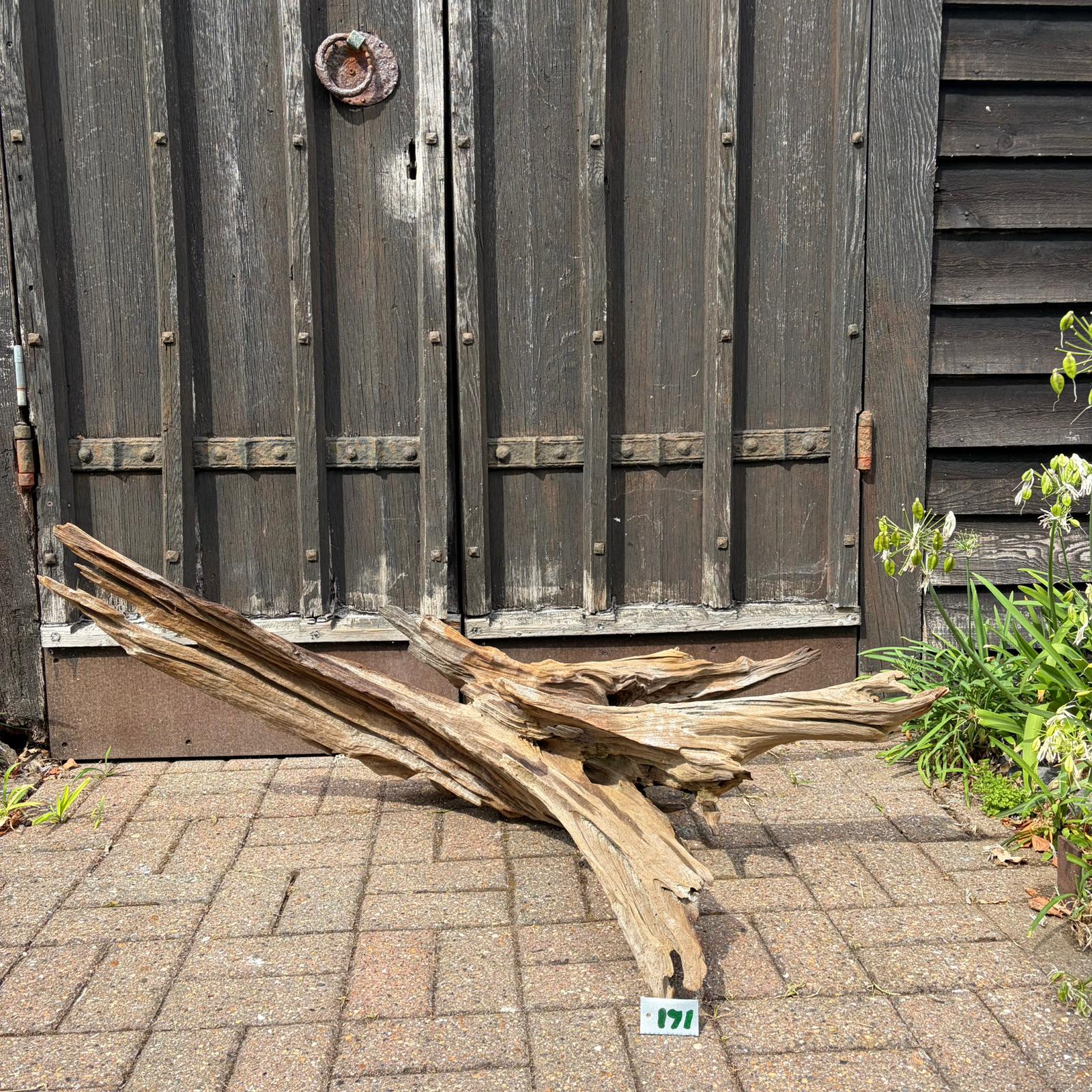 171 Driftwood Sculpture 171 with Free Delivery - Image 1